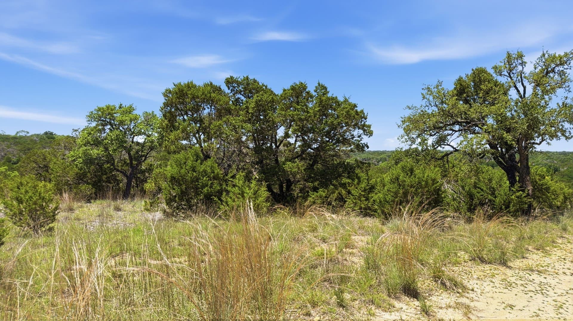 10.04 acres in Hamilton County - photo 6