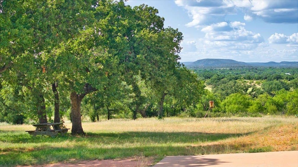 55 acres in Llano County gallery image 4