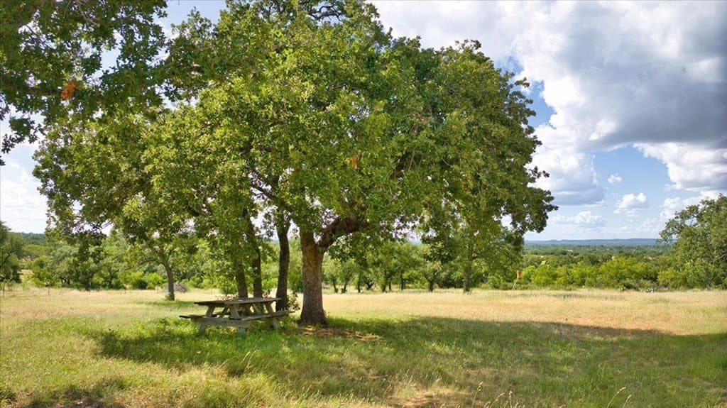 55 acres in Llano County - photo 36