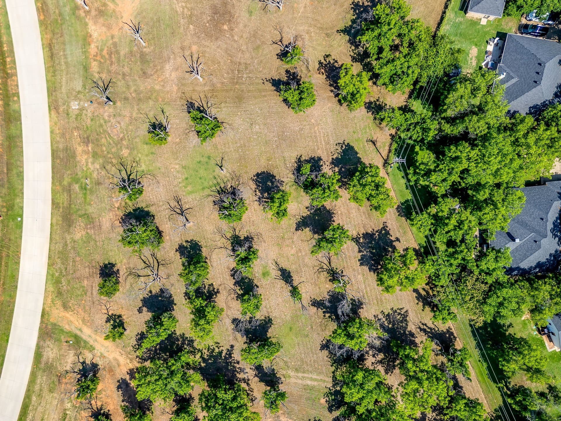 1.43 acres in Hood County - photo 7