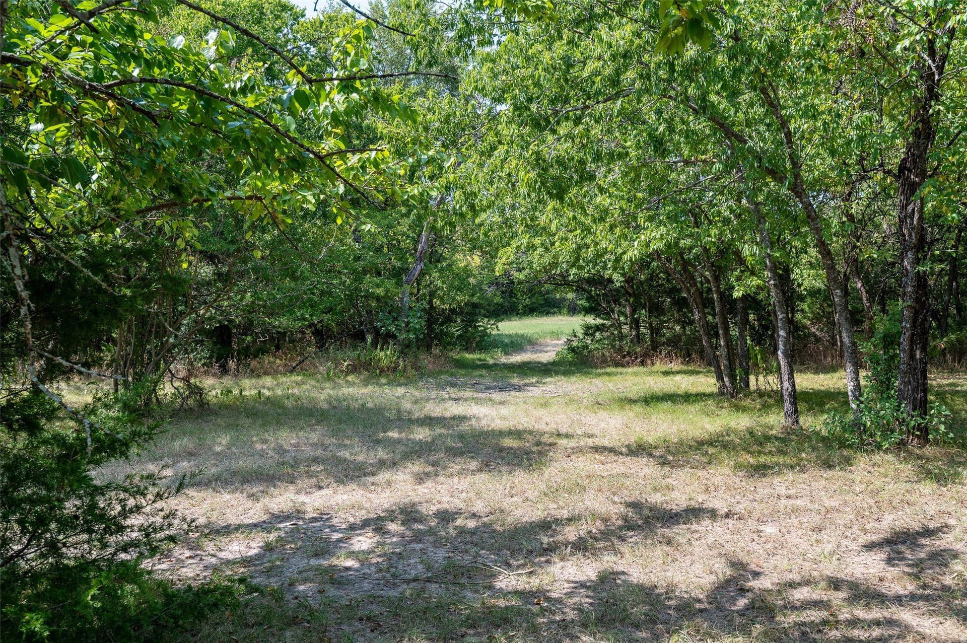 49.5 acres in Fannin County - photo 9