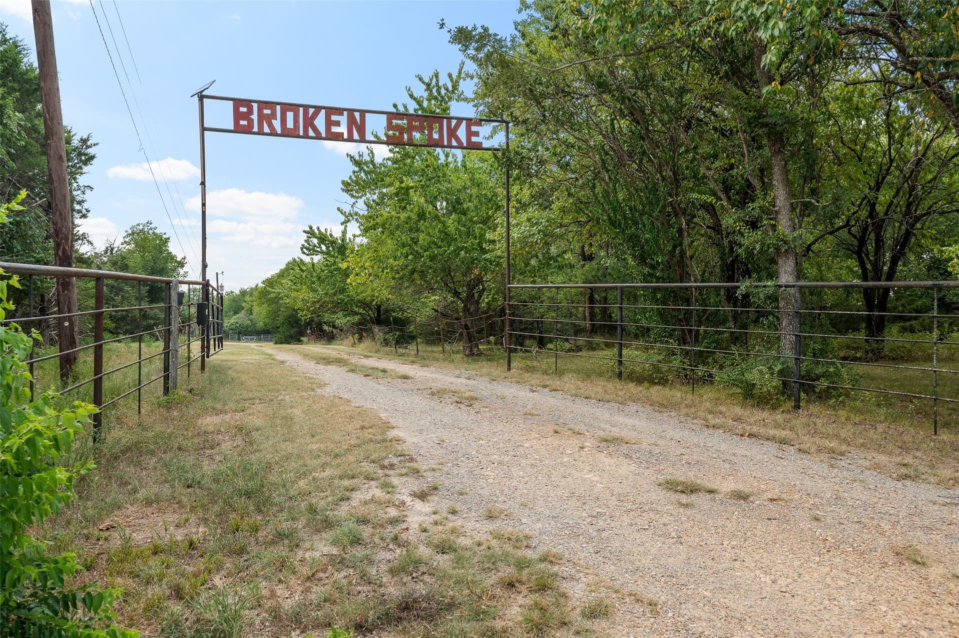 49.5 acres in Fannin County - photo 11
