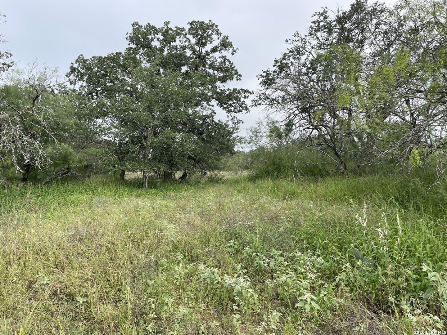 12.31 acres in Medina County gallery image 3