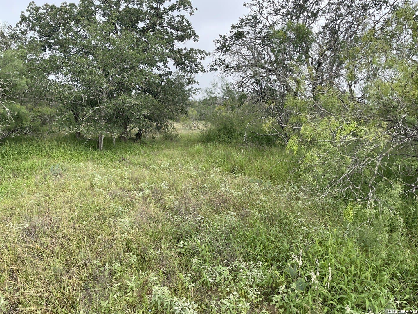 12.31 acres in Medina County featured view