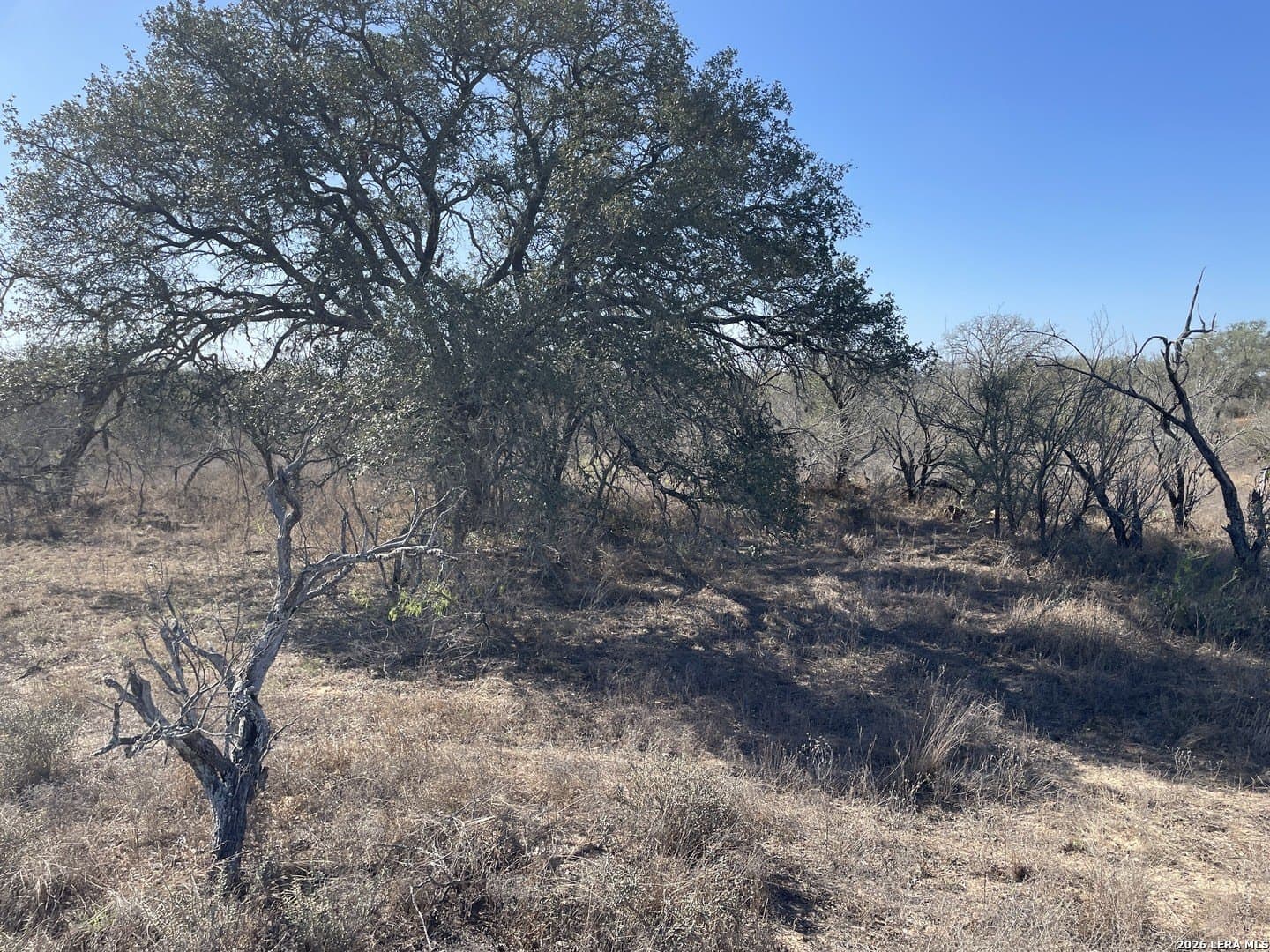 12.31 acres in Medina County gallery image 4