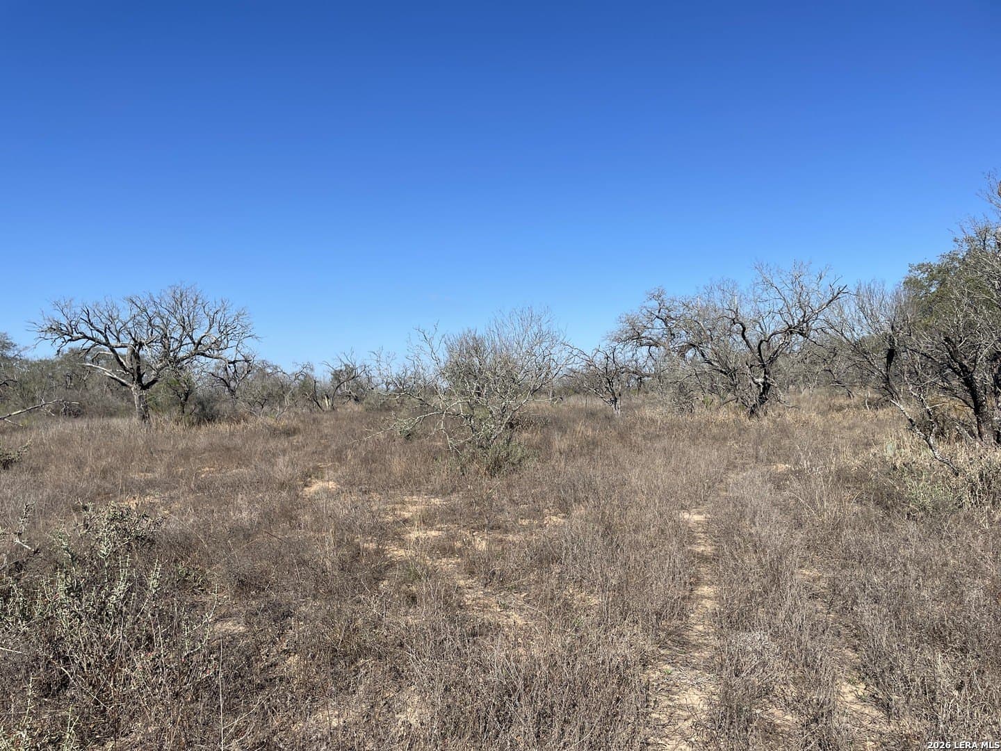 12.31 acres in Medina County gallery image 3