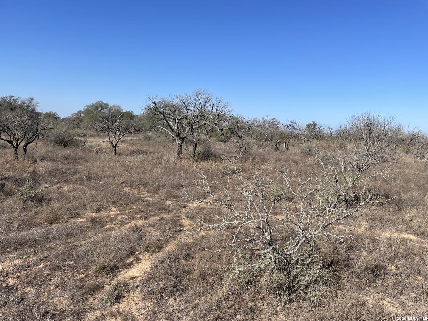 12.31 acres in Medina County featured view