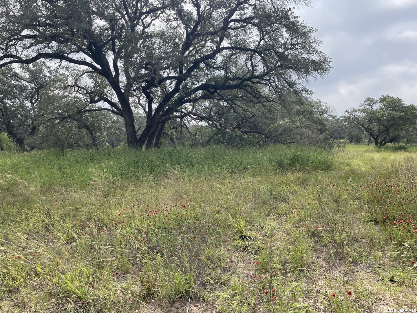 12.31 acres in Medina County gallery image 2
