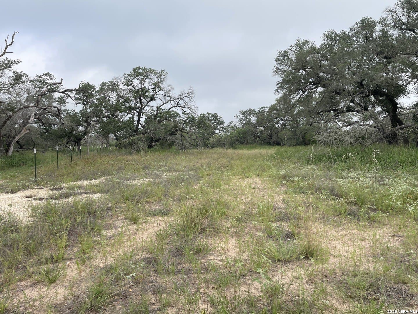 12.31 acres in Medina County - photo 9