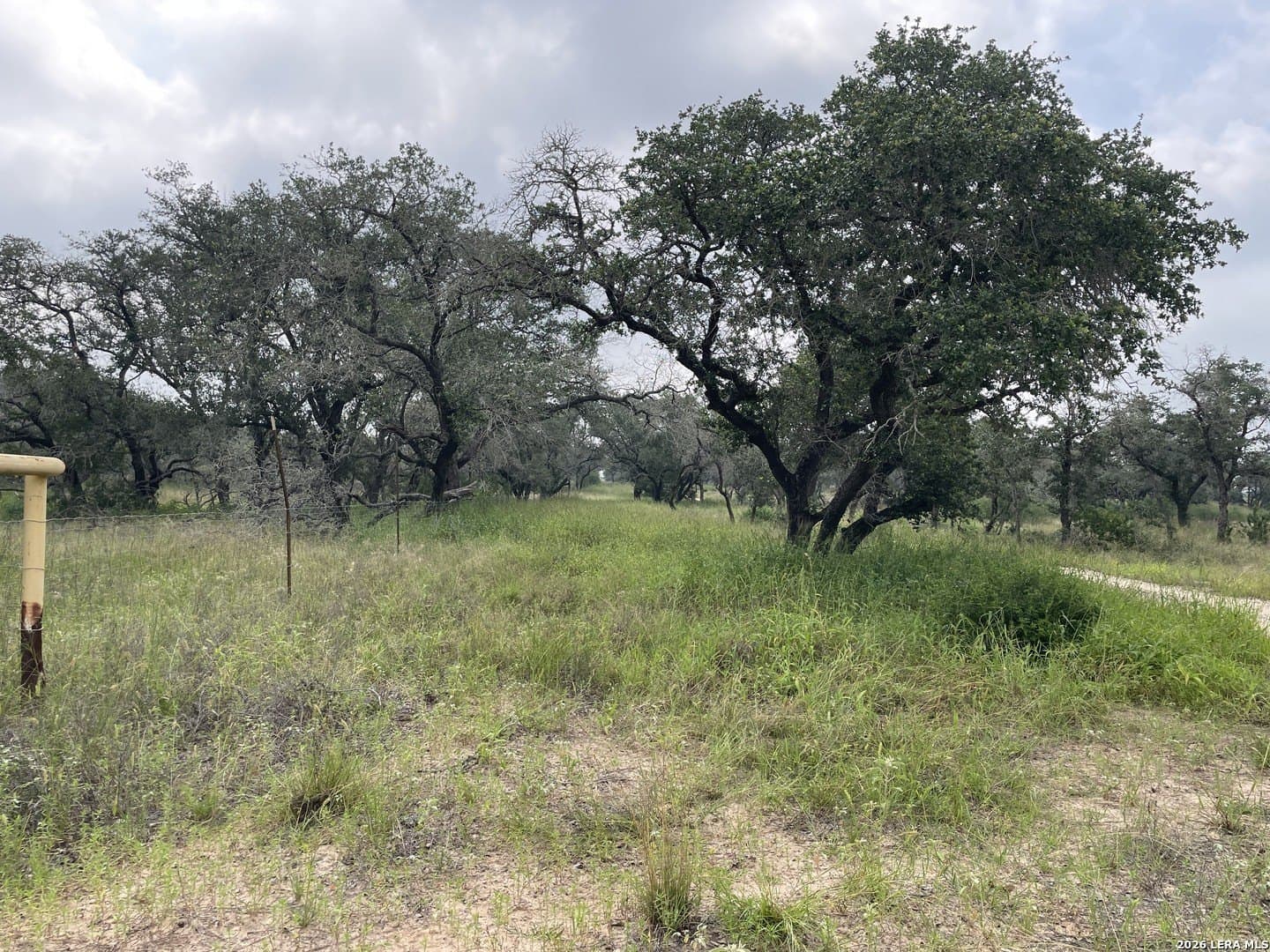 12.31 acres in Medina County - photo 8