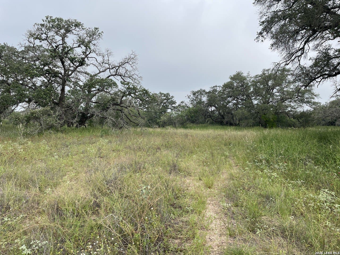 12.31 acres in Medina County - photo 6