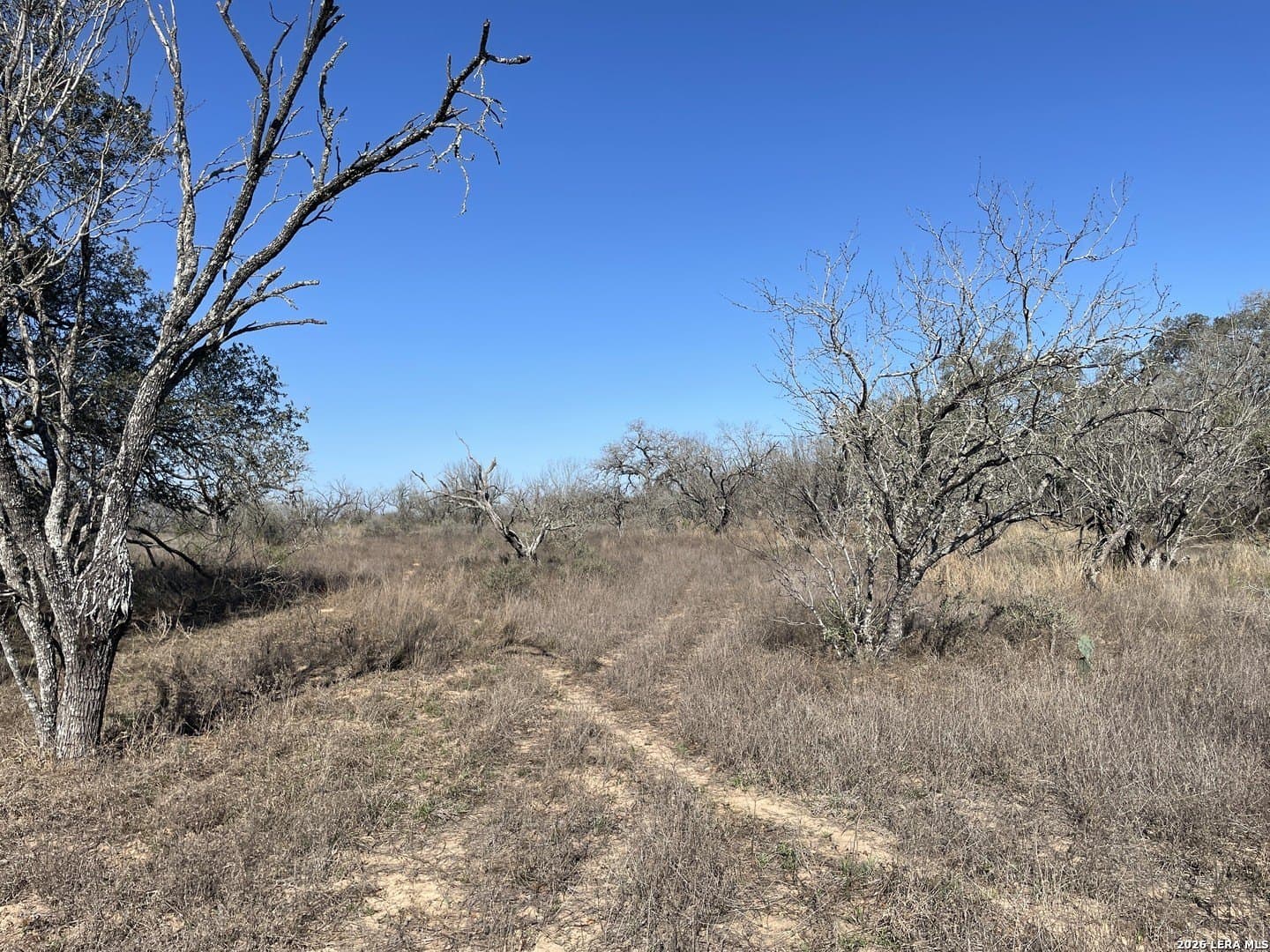 12.31 acres in Medina County gallery image 2
