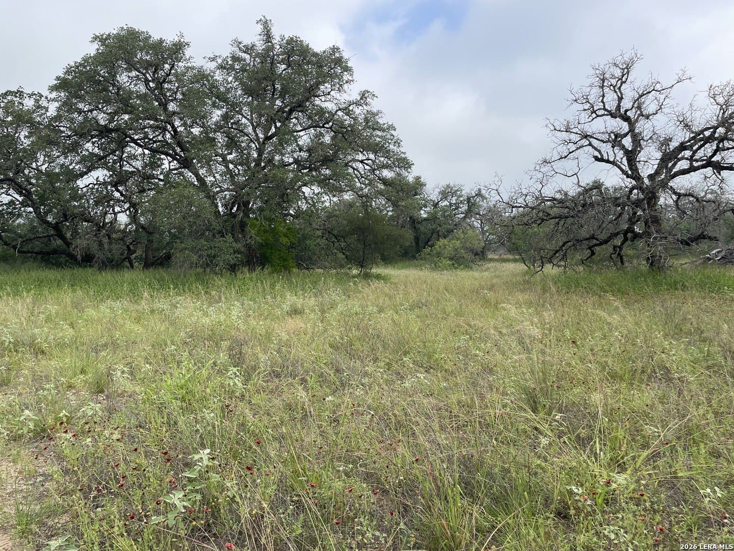 12.31 acres in Medina County - photo 7