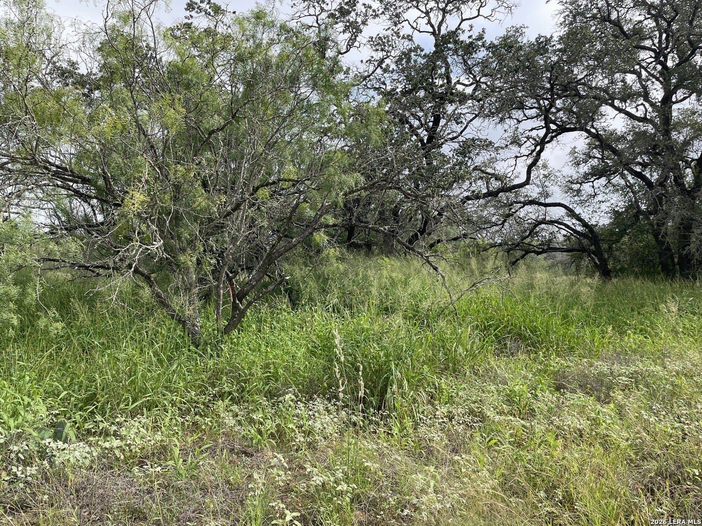 12.31 acres in Medina County gallery image 4