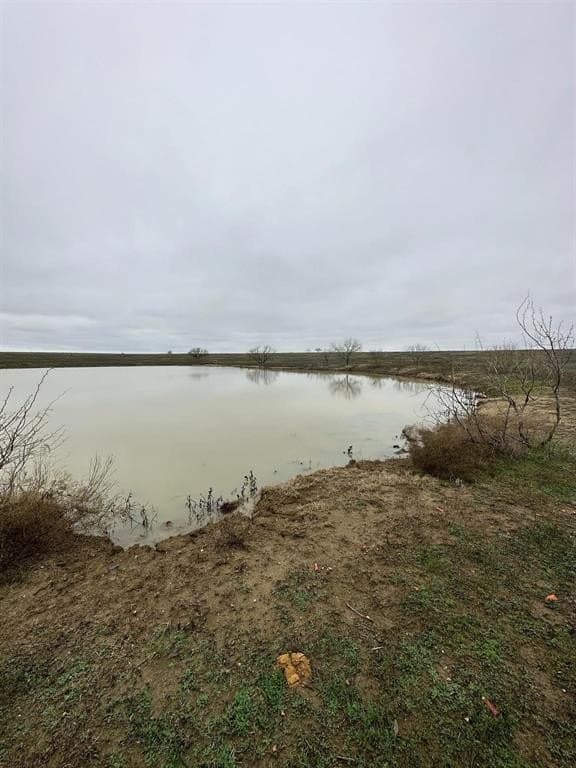 50.61 acres in Grayson County gallery image 3