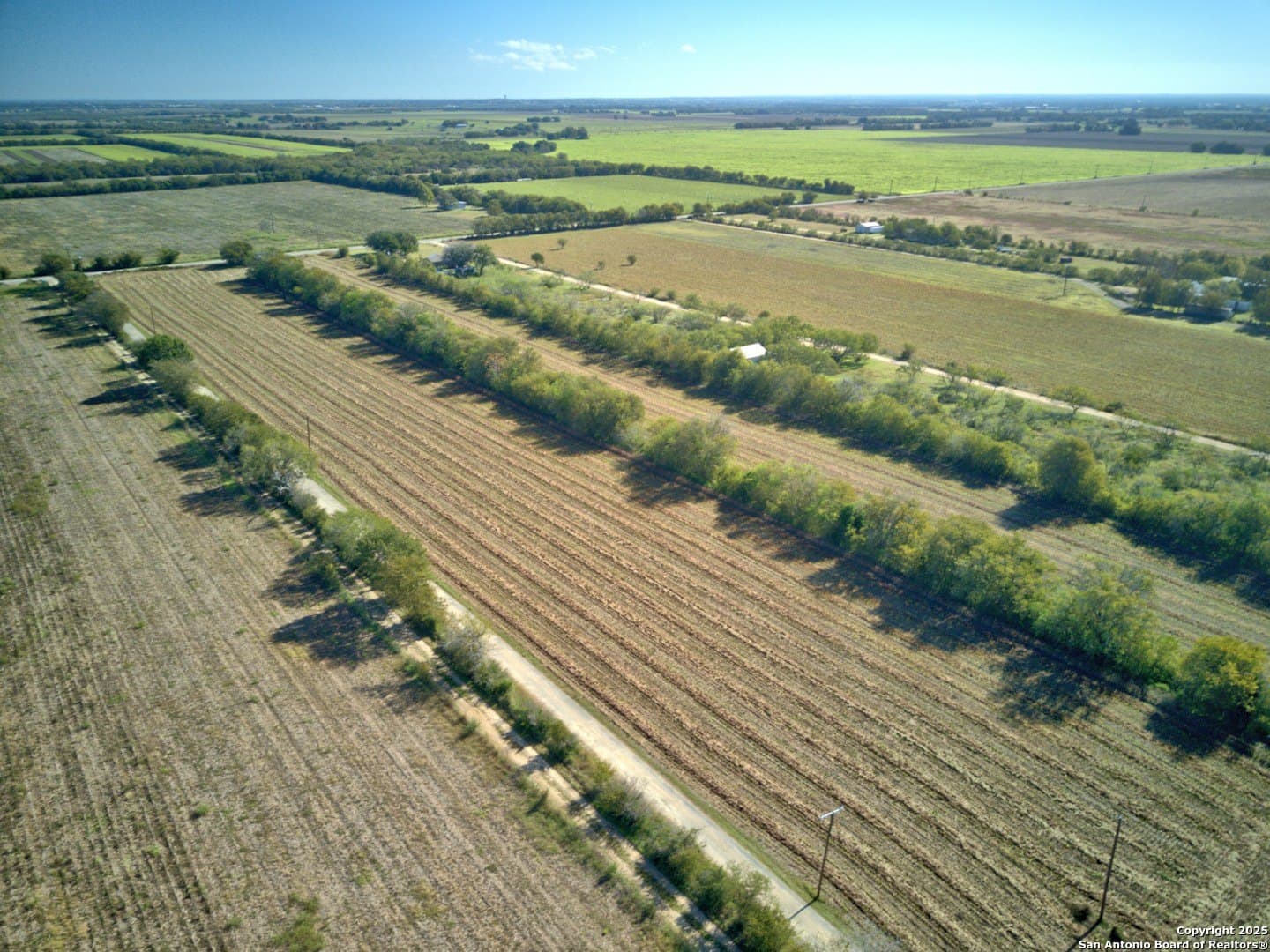 5 acres in Guadalupe County gallery image 4