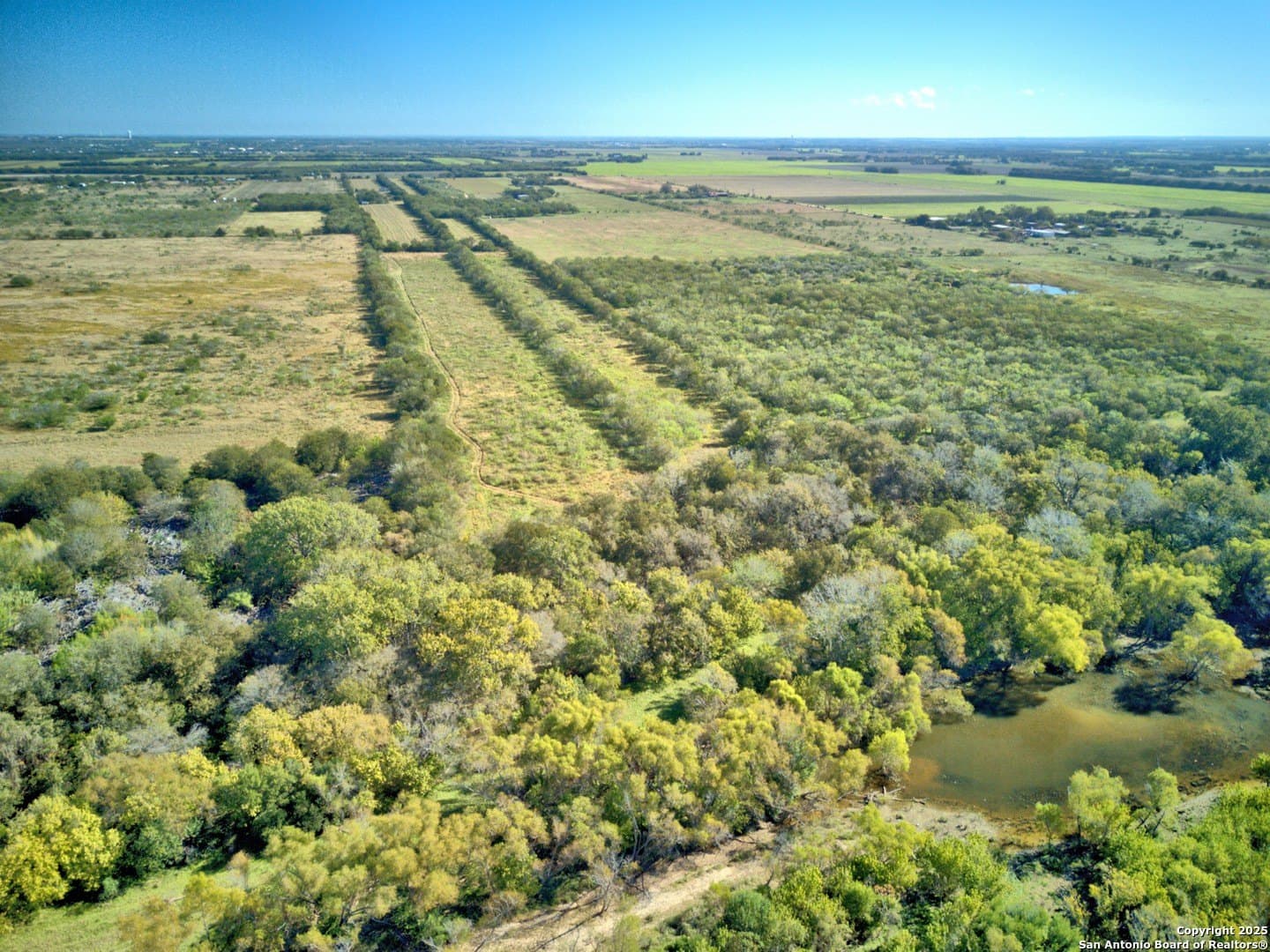 5 acres in Guadalupe County gallery image 3