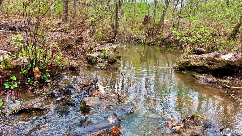 19.5 acres in Texas County - photo 6