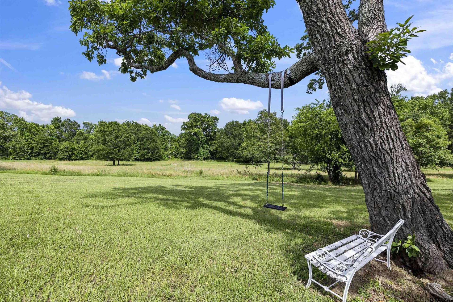 25 acres in Henderson County gallery image 4