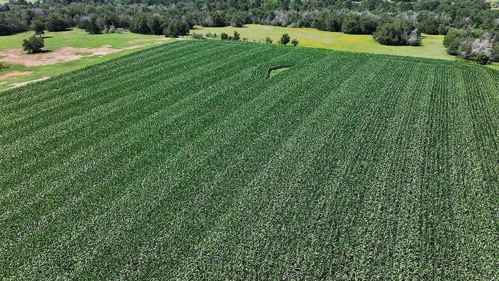 205 acres in Fayette County - photo 7