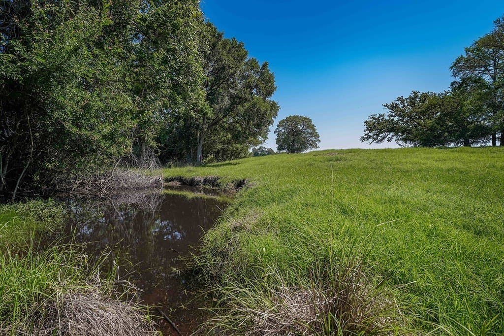 205 acres in Fayette County gallery image 2