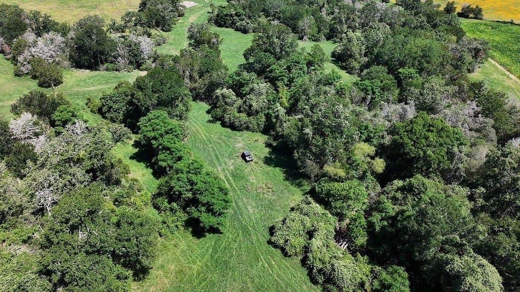 205 acres in Fayette County - photo 29
