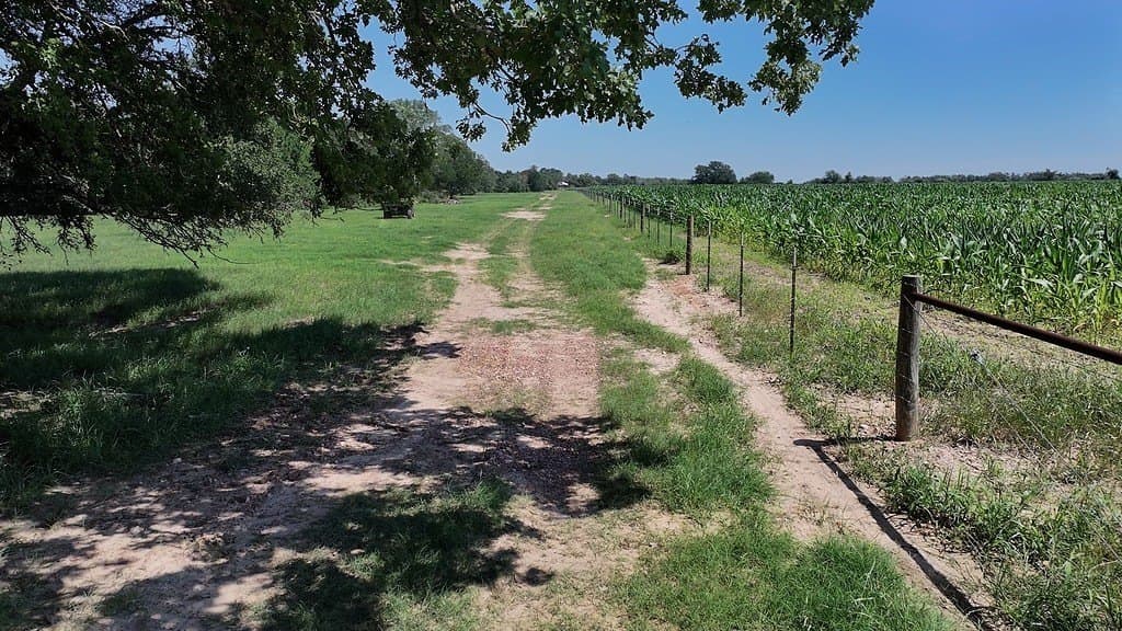 205 acres in Fayette County - photo 9