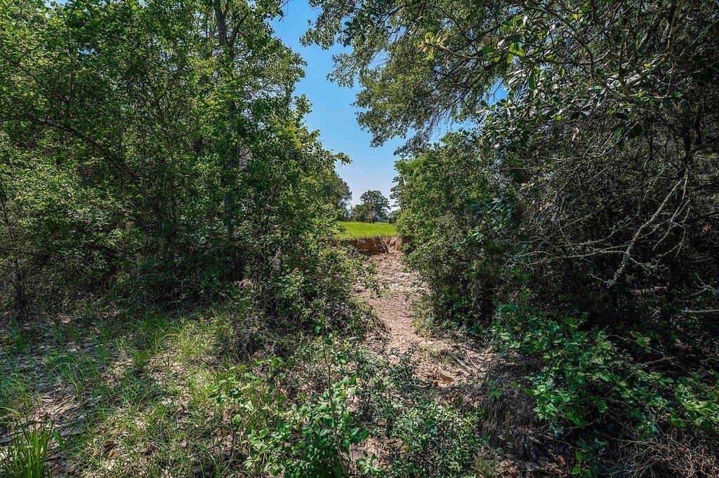 205 acres in Fayette County - photo 27