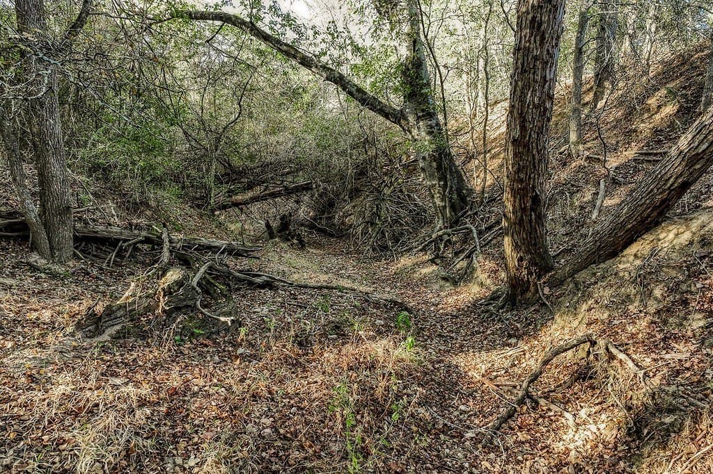 205 acres in Fayette County - photo 6
