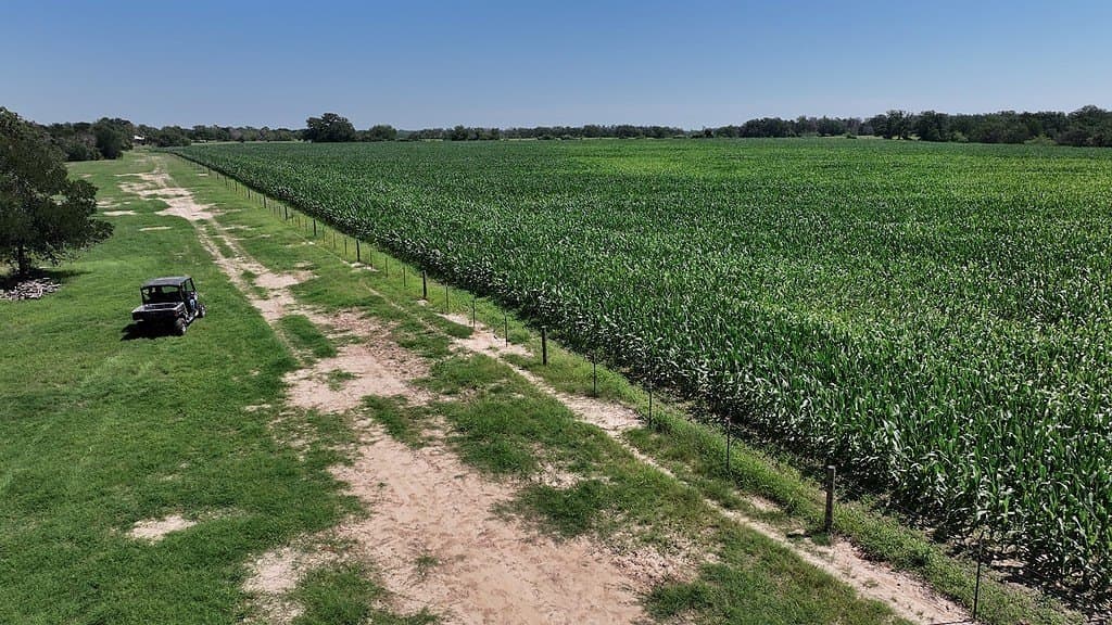 205 acres in Fayette County - photo 8