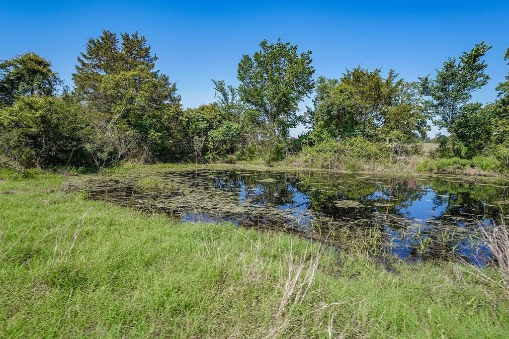 205 acres in Fayette County gallery image 4