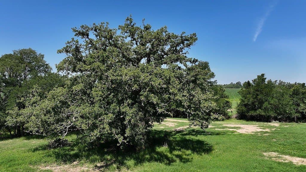 205 acres in Fayette County gallery image 3