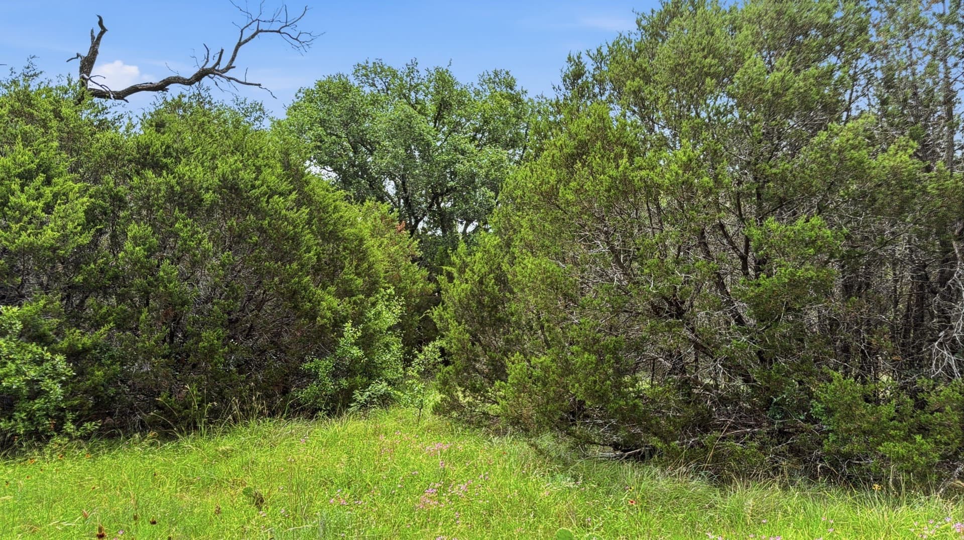 20.02 acres in Hamilton County - photo 2