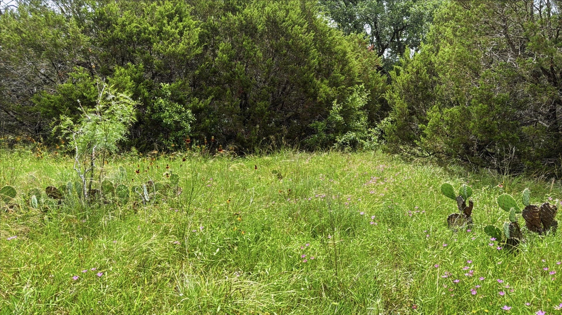 20.02 acres in Hamilton County - photo 13