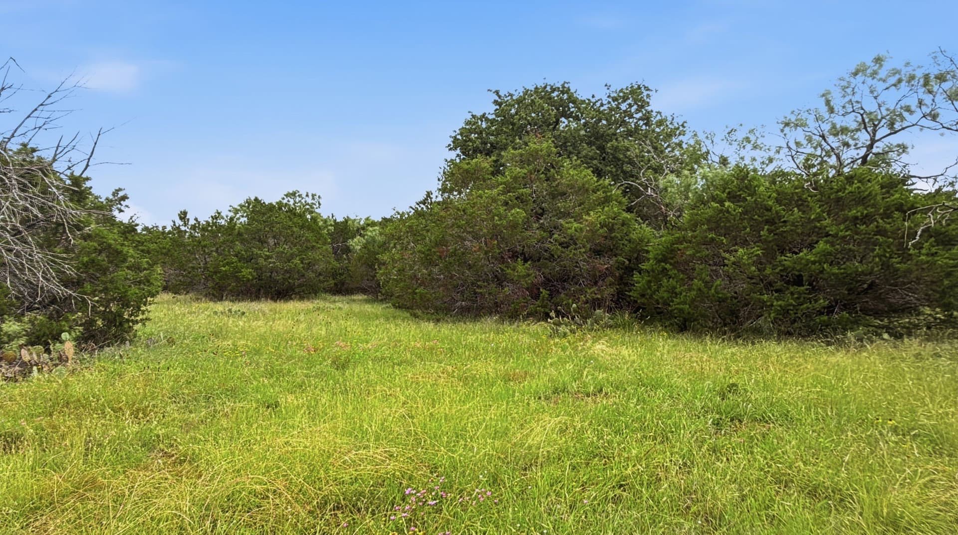 20.02 acres in Hamilton County - photo 4
