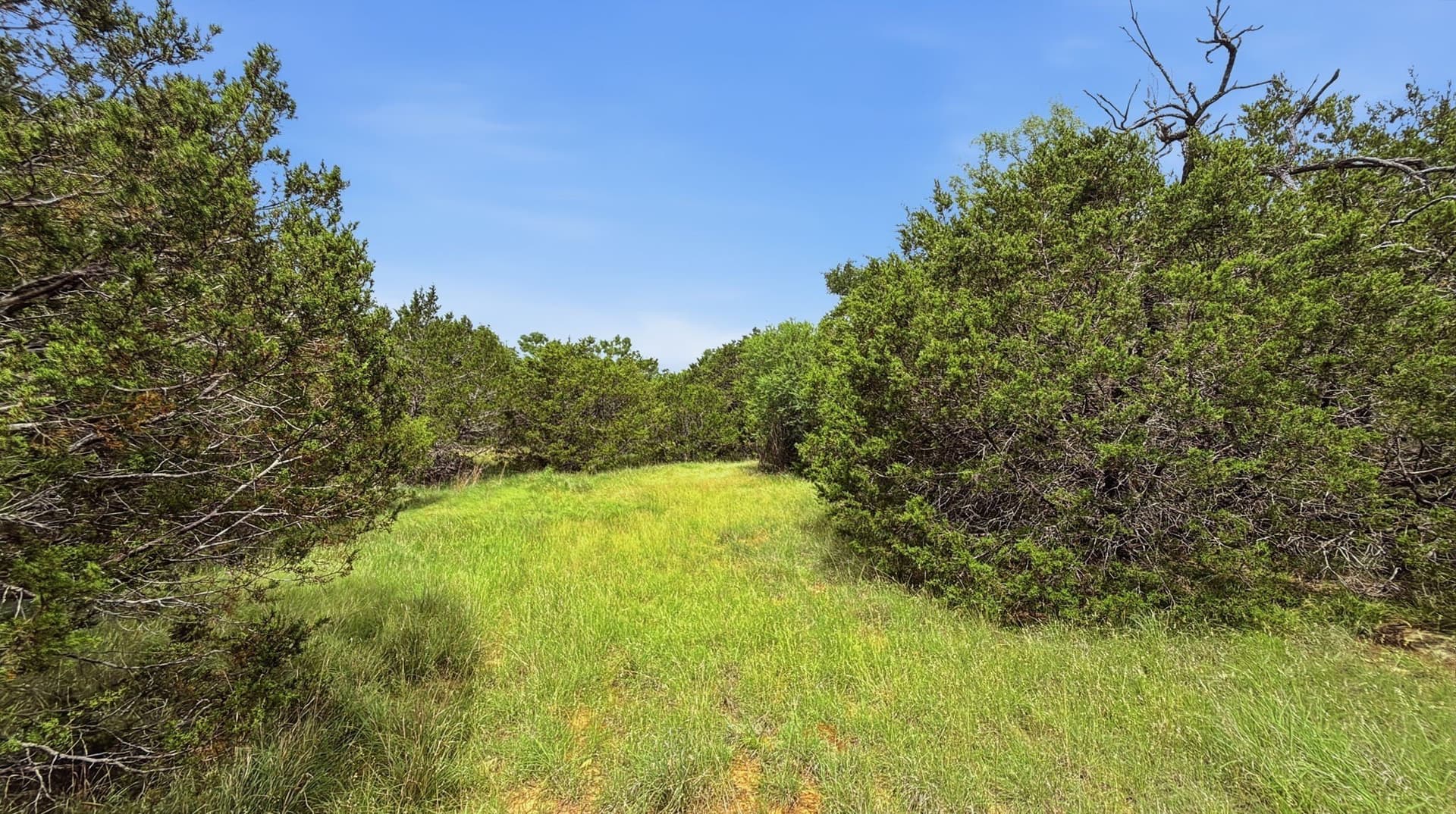 20.02 acres in Hamilton County - photo 5