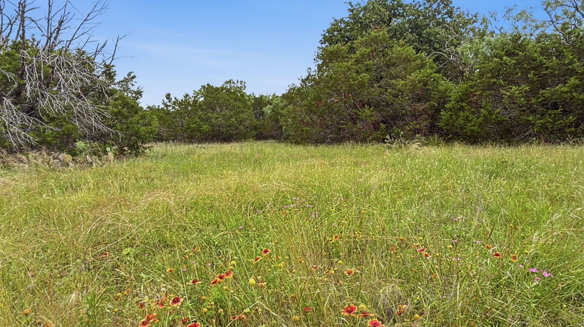 20.02 acres in Hamilton County - photo 3