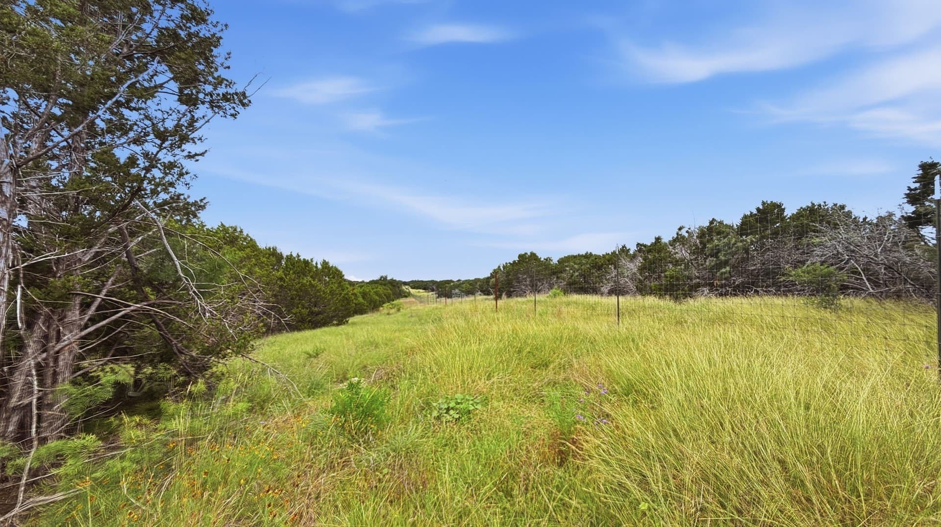 20.02 acres in Hamilton County - photo 6