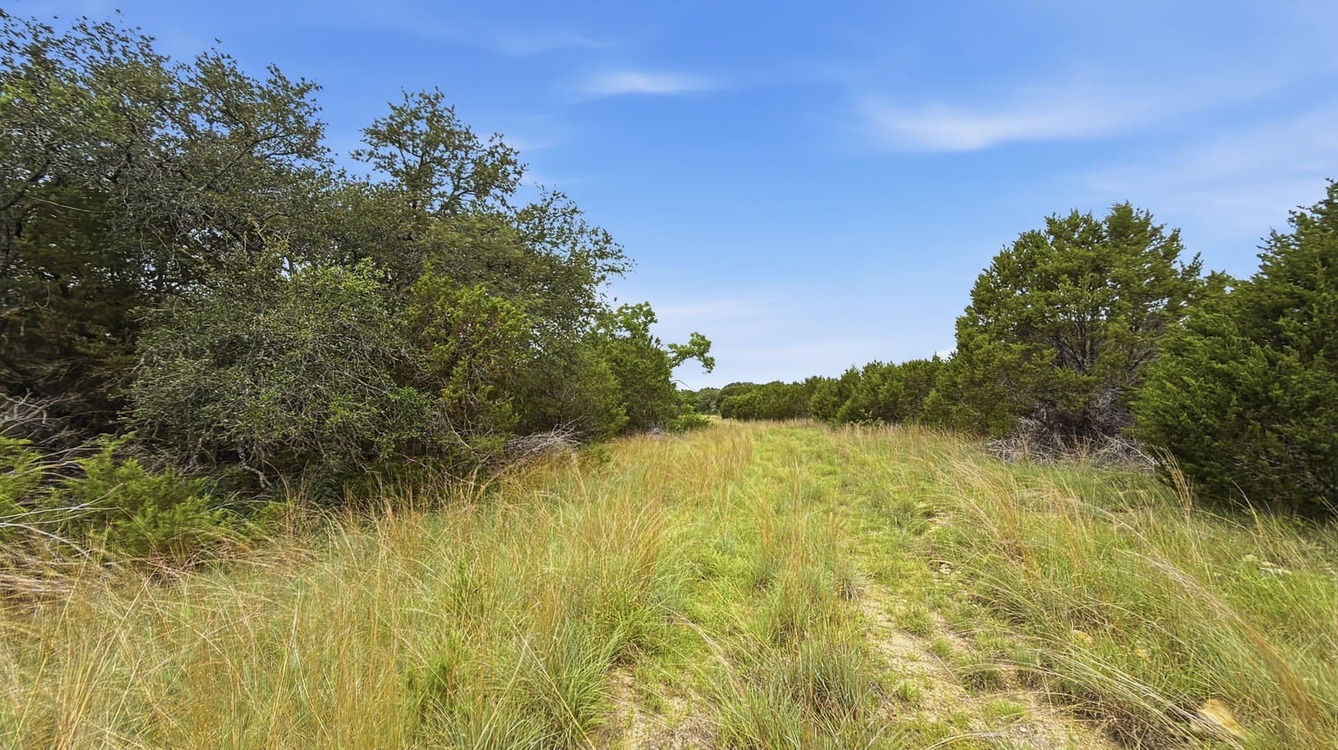 20.02 acres in Hamilton County - photo 10