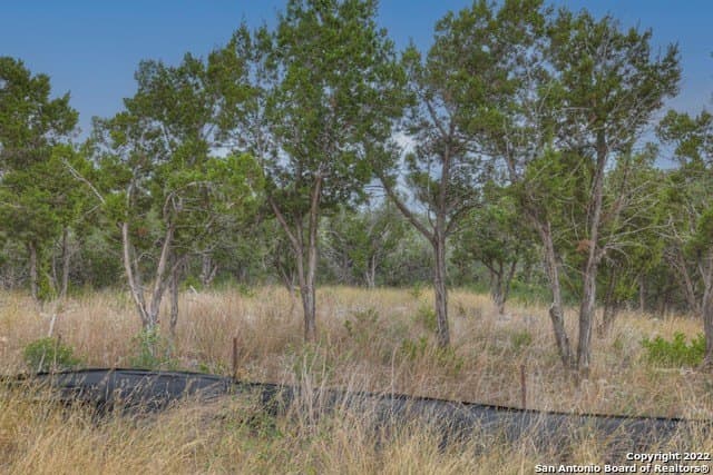 1.24 acres in Comal County - photo 14