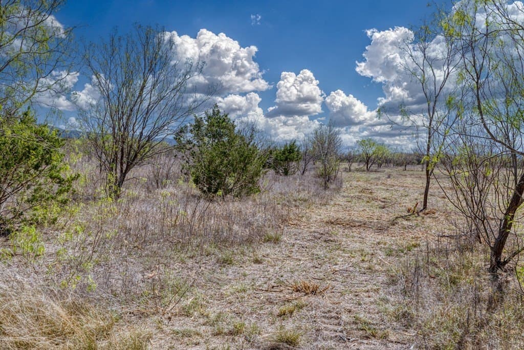 7 acres in Real County - photo 53