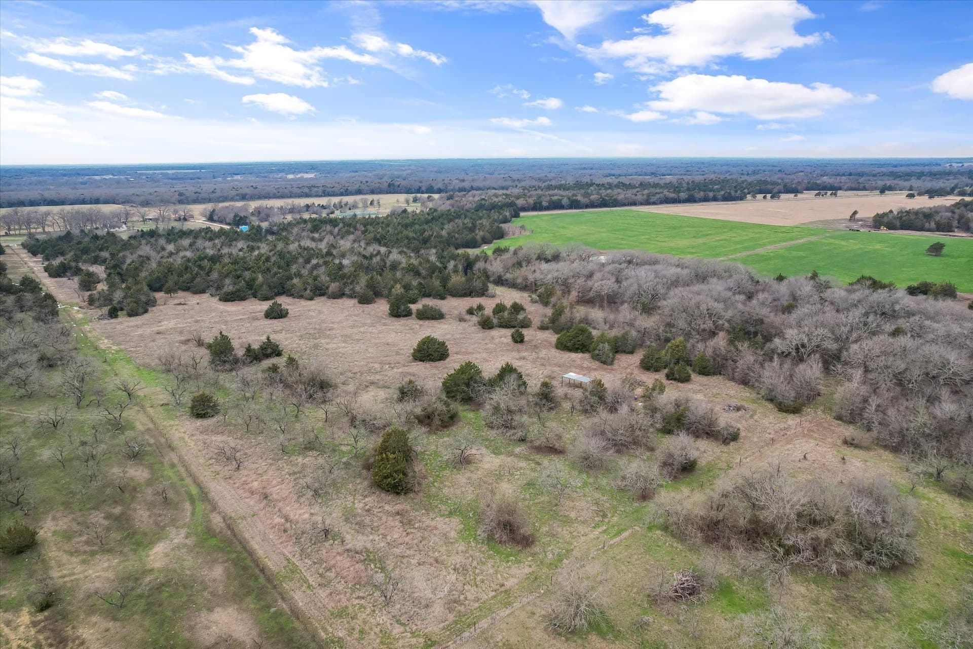 20.72 acres in Navarro County - photo 14