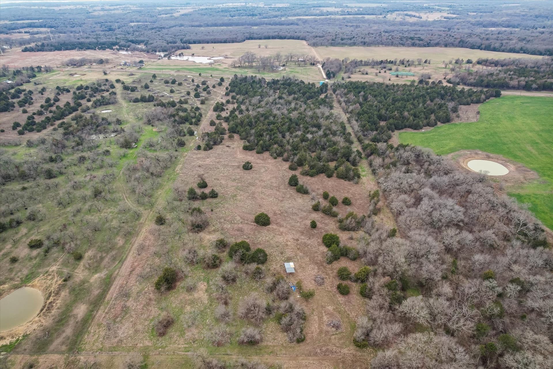 20.72 acres in Navarro County - photo 13