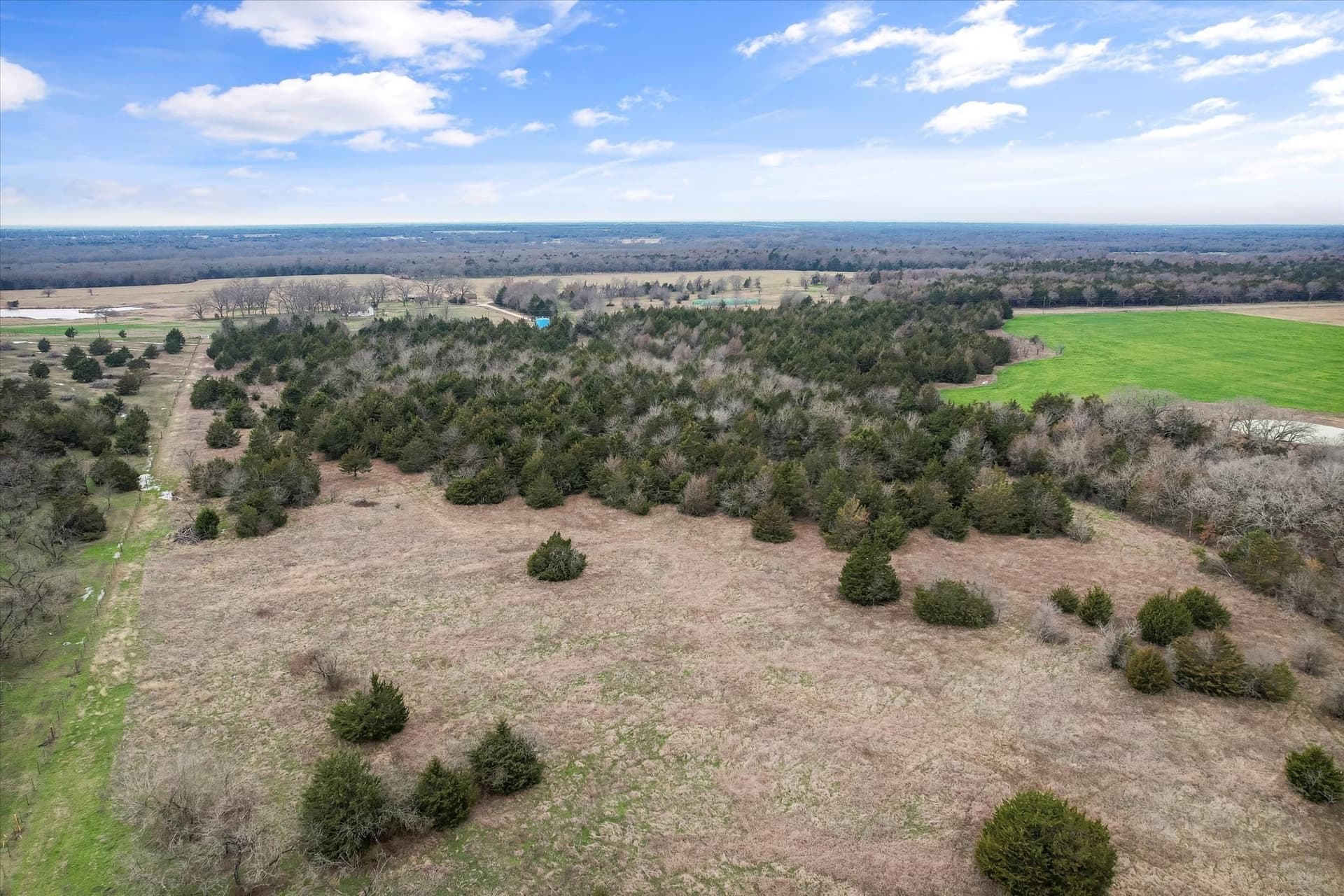 20.72 acres in Navarro County - photo 15