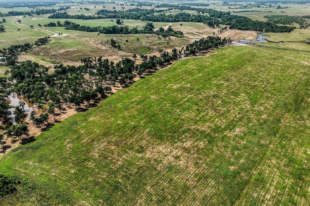 64.48 acres in Washington County gallery image 2