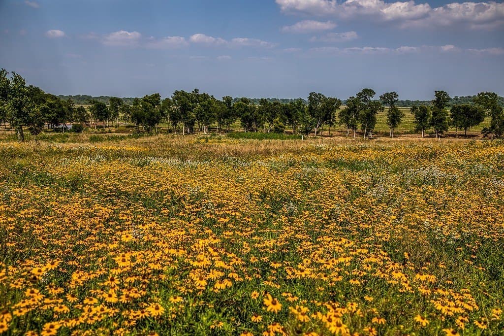 64.48 acres in Washington County featured view