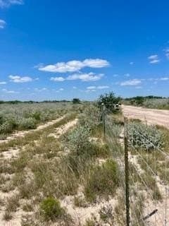 15 acres in Jim Wells County gallery image 2
