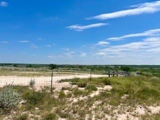 15 acres in Jim Wells County gallery image 4