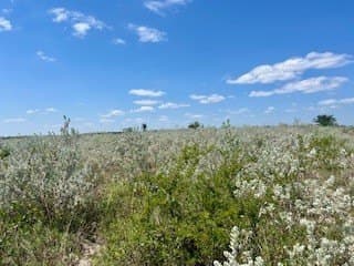 15 acres in Jim Wells County featured view