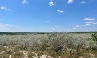 15 acres in Jim Wells County - photo 6